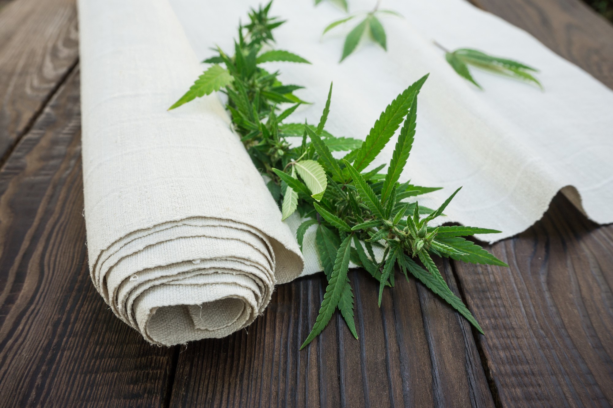 7-health-benefits-of-hemp-that-will-inspire-your-wellness-routine