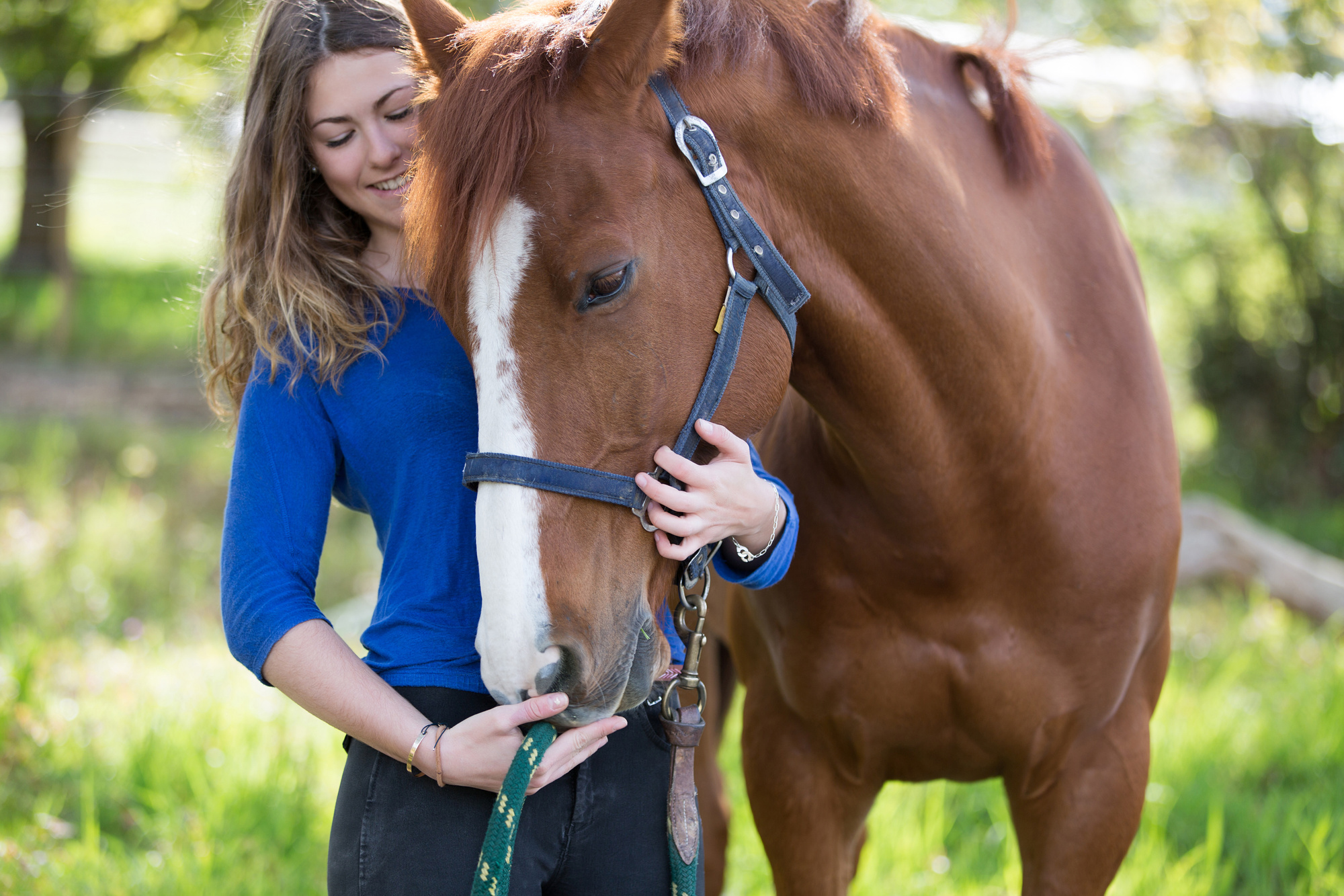 How Much Does It Cost to Keep a Horse? A Guide Areas of My Expertise