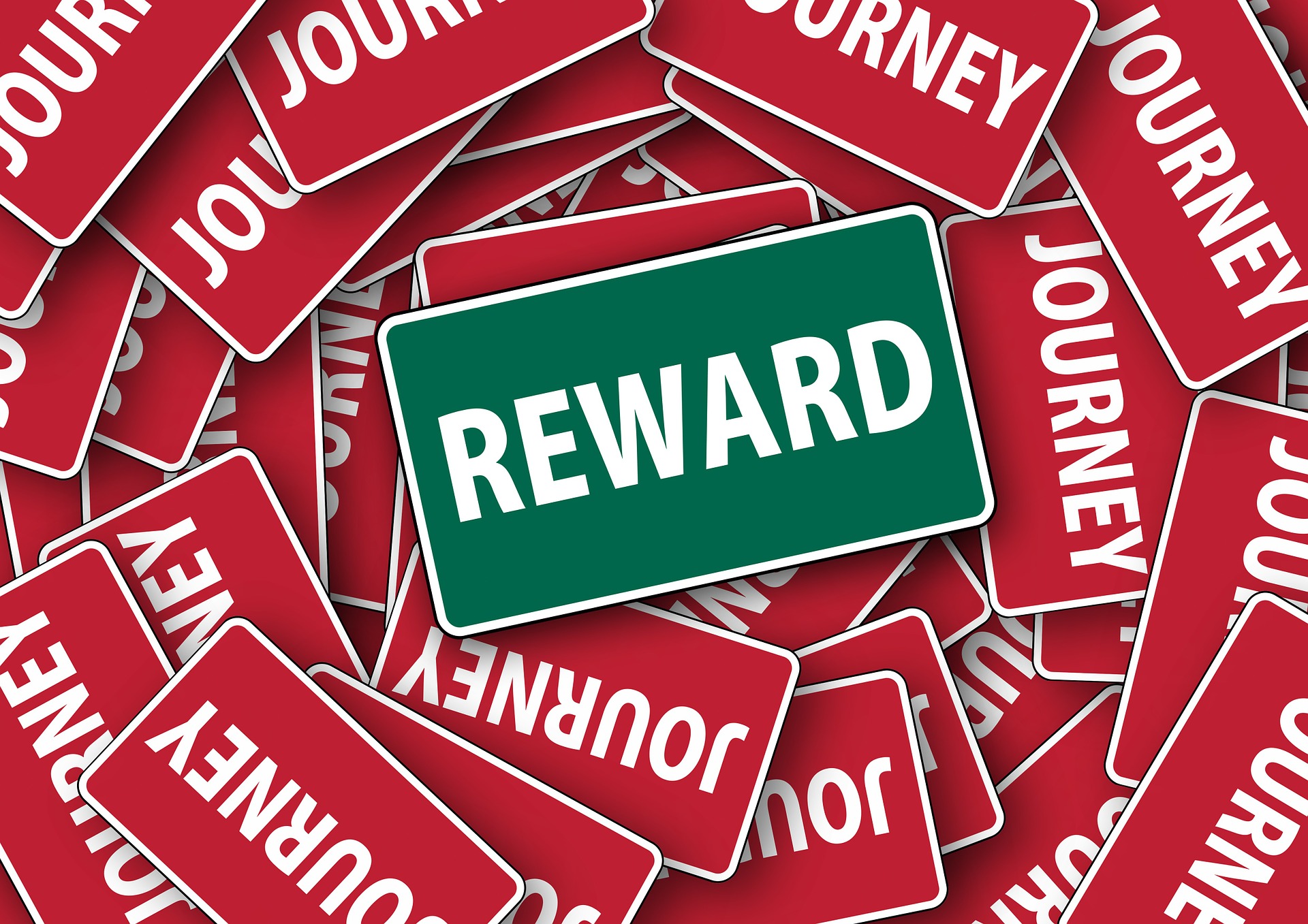 how-to-create-a-customer-reward-program-your-complete-guide-areas-of